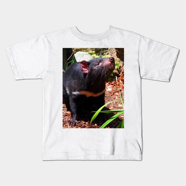 Tasmanian Devil Kids T-Shirt by kirstybush